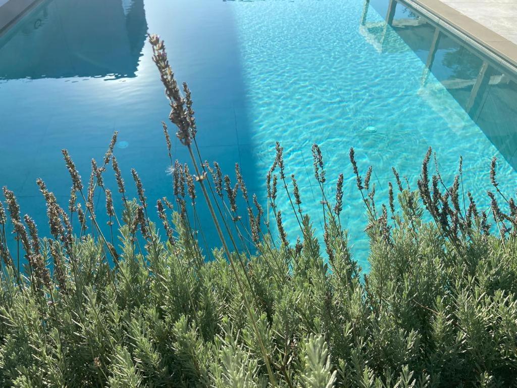 דורס Rosemarine Villas מראה חיצוני תמונה