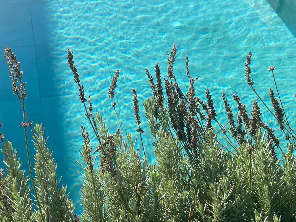 דורס Rosemarine Villas מראה חיצוני תמונה